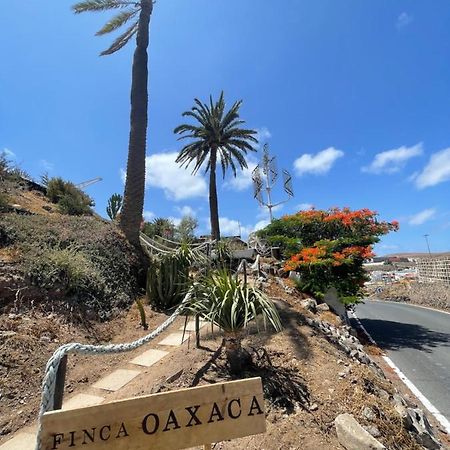 Finca Oaxaca - Casa Iguana Agaete  Buitenkant foto